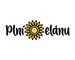 Plnielanu.sk